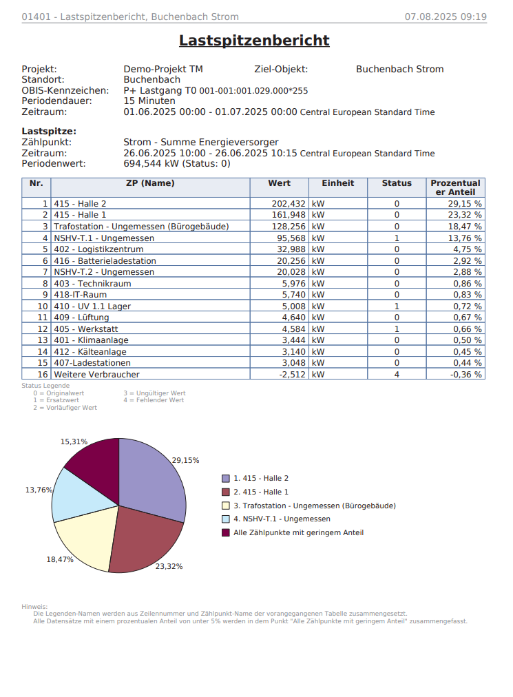 Beispiel Lastspitzenbericht
