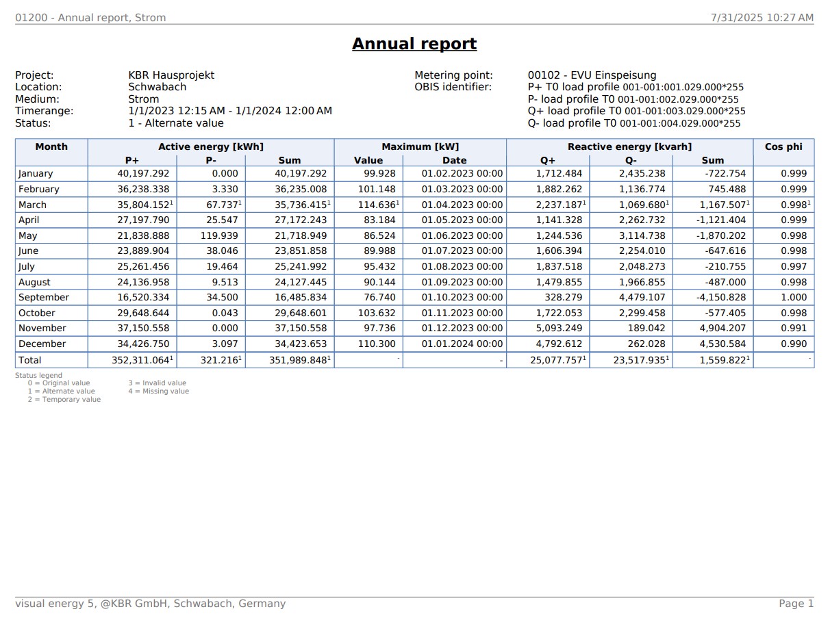 Example annual report for electricity